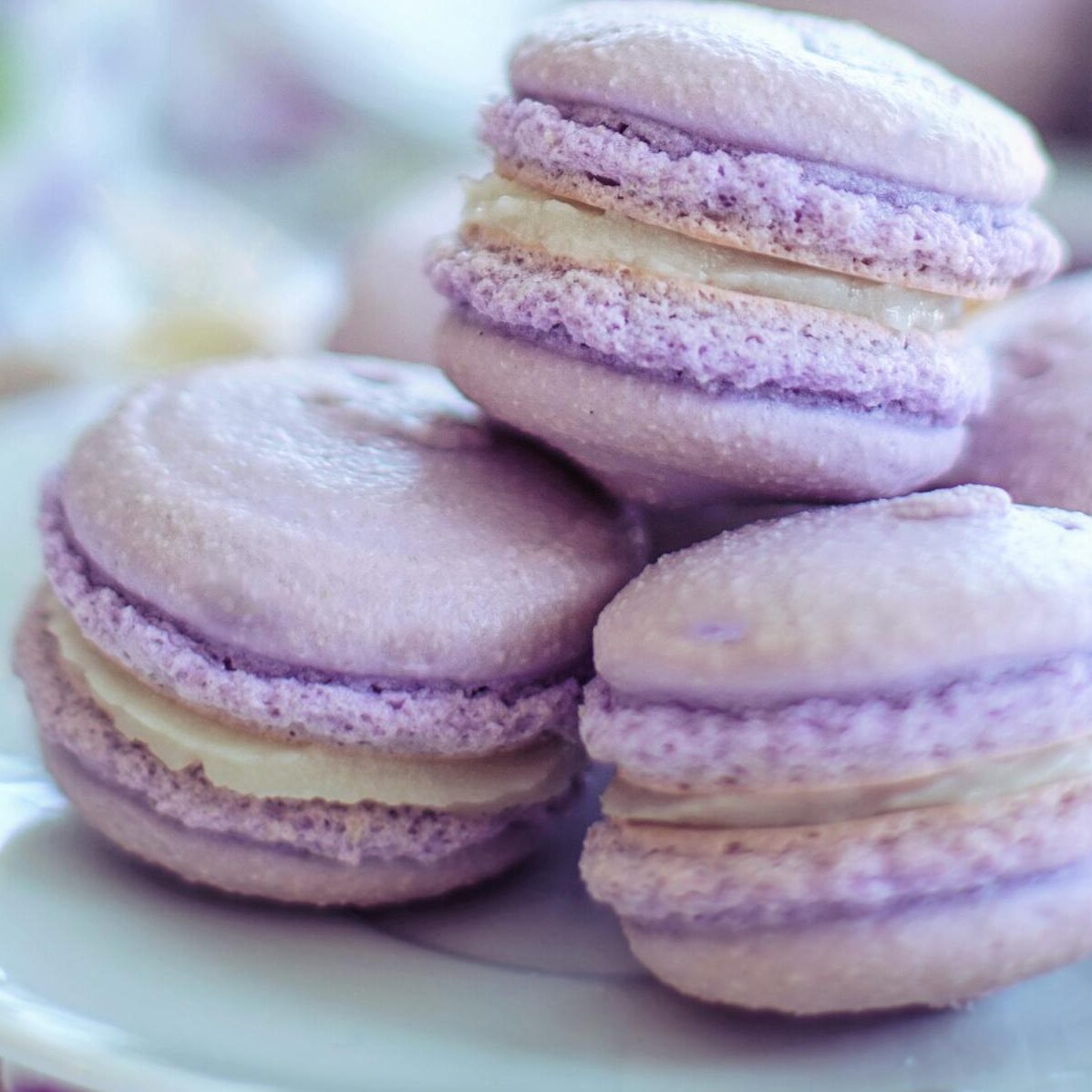 Close-Up Photo of Macarons on Plate