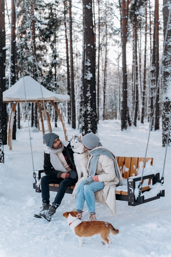 A couple enjoying a snowy day with their dogs on a swing in a forest setting.