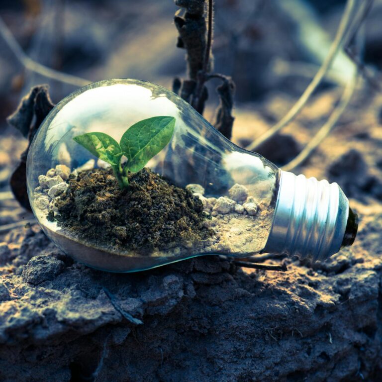A small plant sprouts in soil inside a light bulb, symbolizing eco-friendly and sustainable growth.