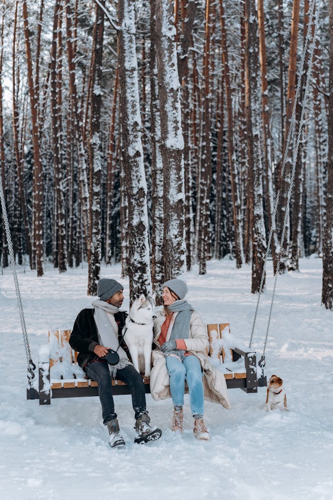 Couple sitting on a swing in a snowy forest with two dogs, enjoying a wintry day.