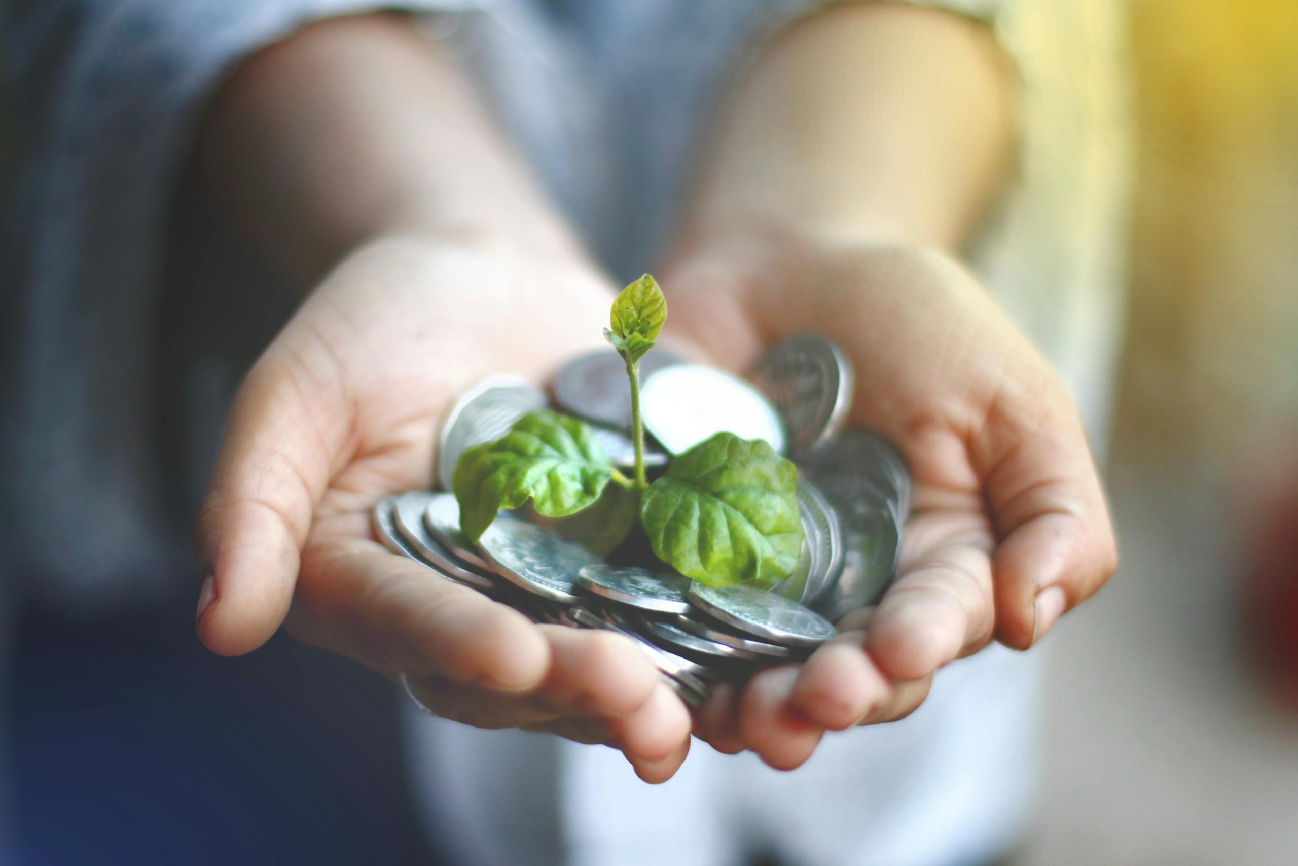 Hands cupping coins with a green plant sprouting, symbolizing financial growth.