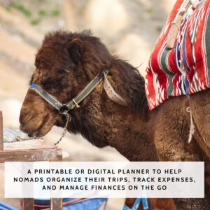 Nomad Travel Planner & Budget Tracker