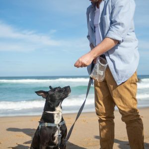 A man trains his black dog on a sunny Portugal beach, fostering companionship and fun.