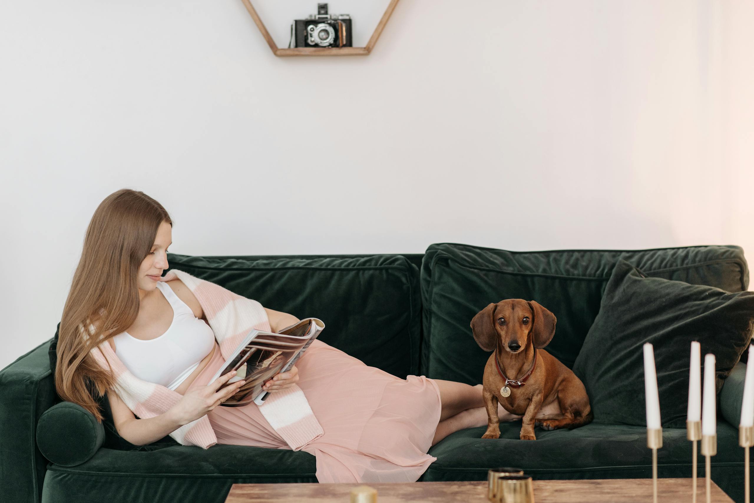 A pregnant woman in a maternity dress reads a magazine while relaxing on a sofa with her dachshund dog.