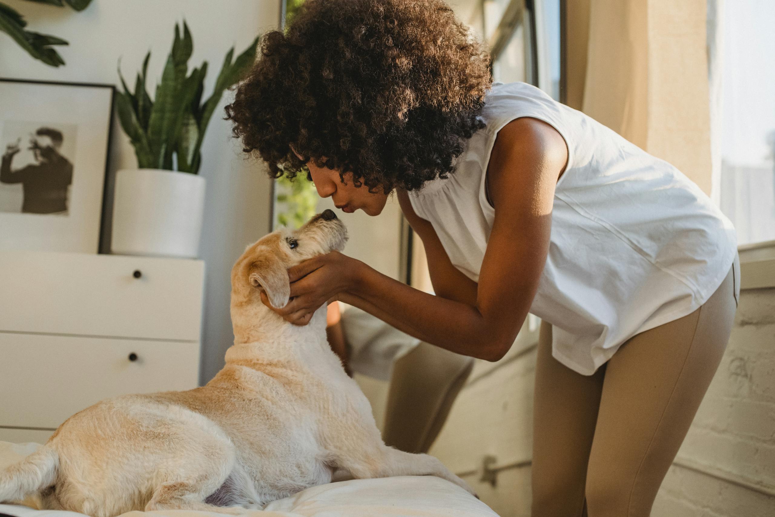A woman with curly hair kisses her Labrador Retriever inside a cozy bedroom.