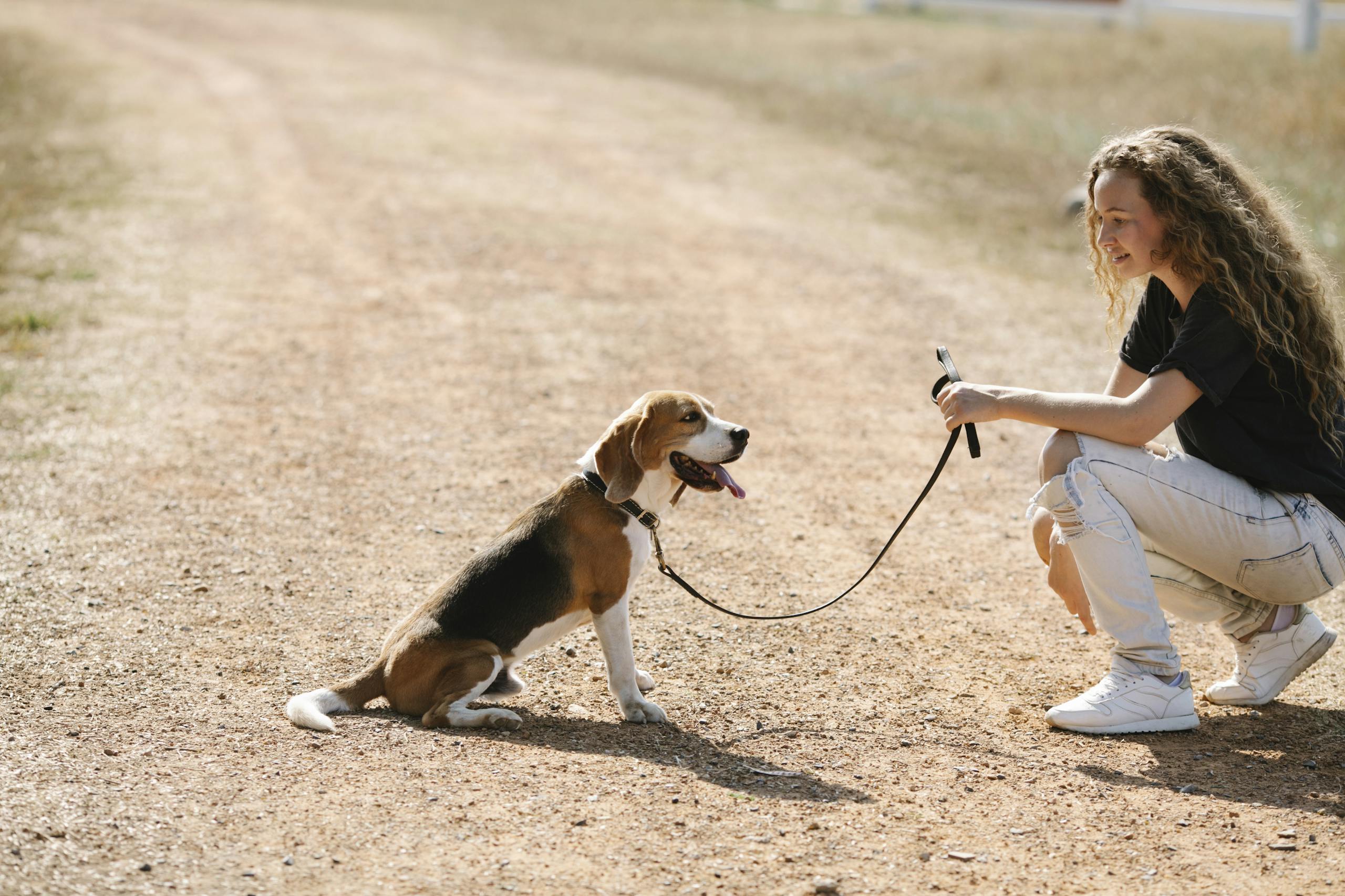 A woman with curly hair training her beagle on a sunny dirt path, showcasing friendship.