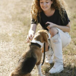 Cheerful woman kneeling beside her beagle dog on a sunny day outdoors.