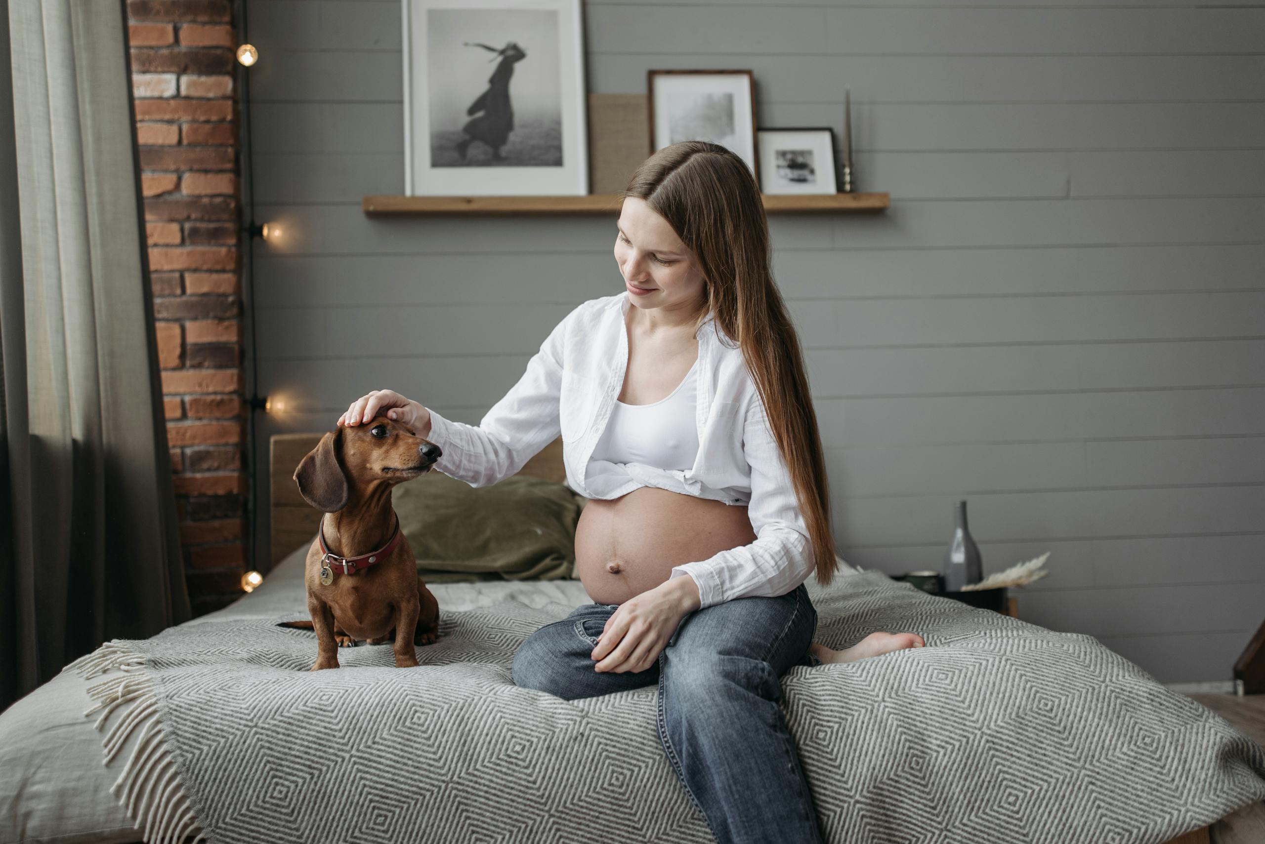 Pregnant woman relaxing on bed with her dachshund dog in a cozy room.