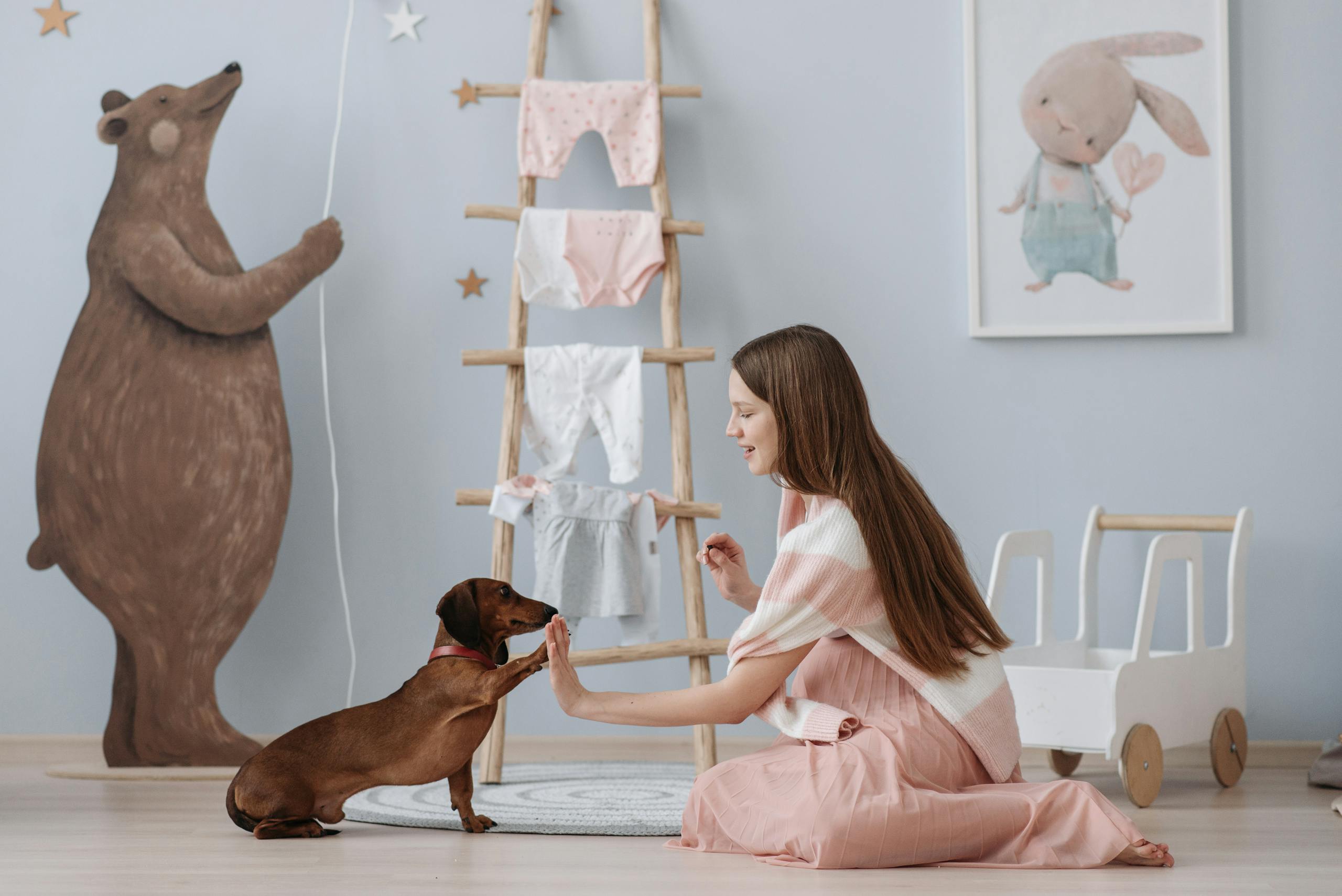 Pregnant woman training her dachshund in a cozy nursery, surrounded by cute decor.