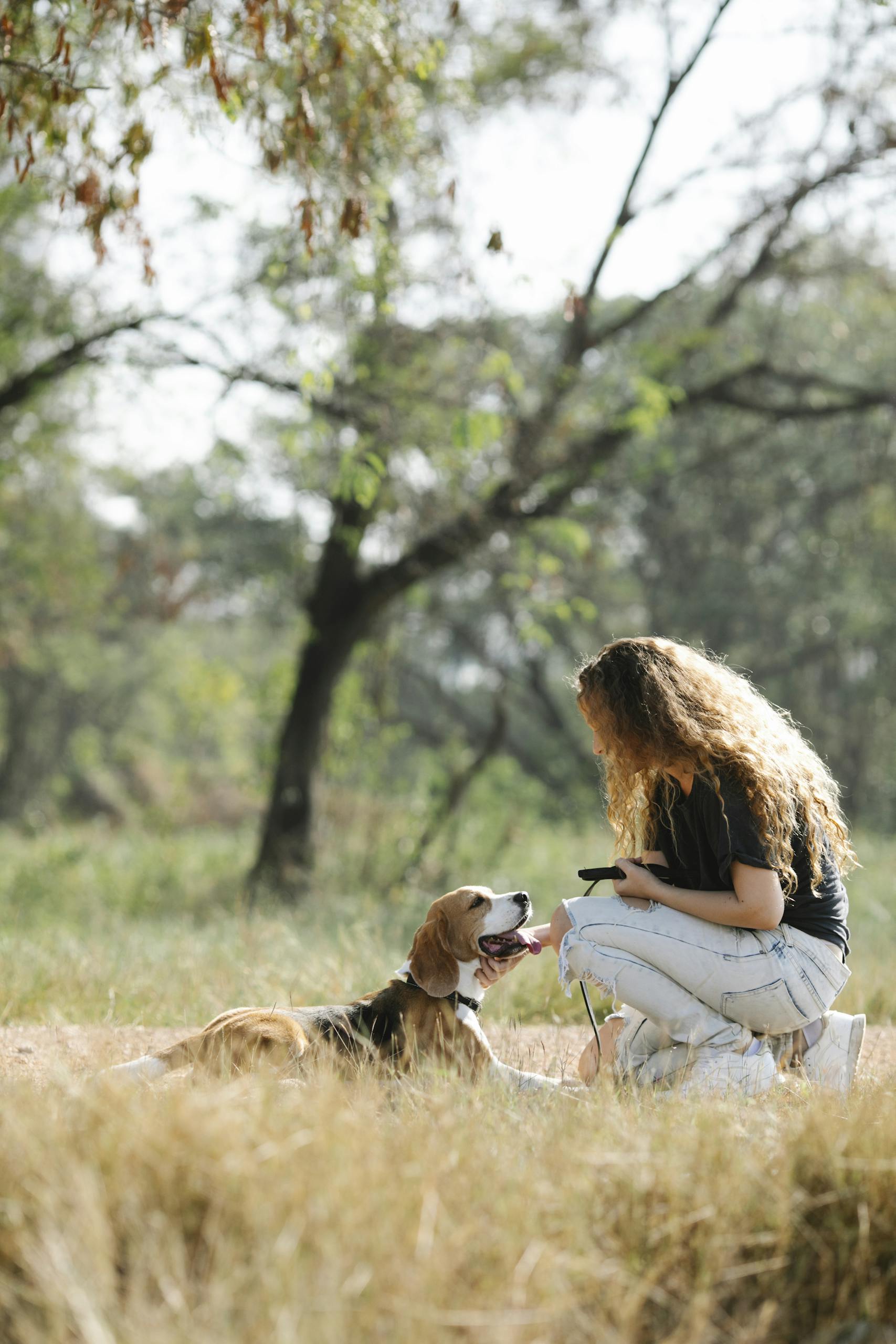 Side view of anonymous woman stroking cute purebred dog while resting against grass in back lit