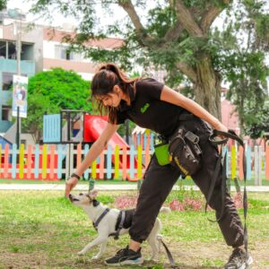 Woman training a dog outdoors in a park with playful surroundings.