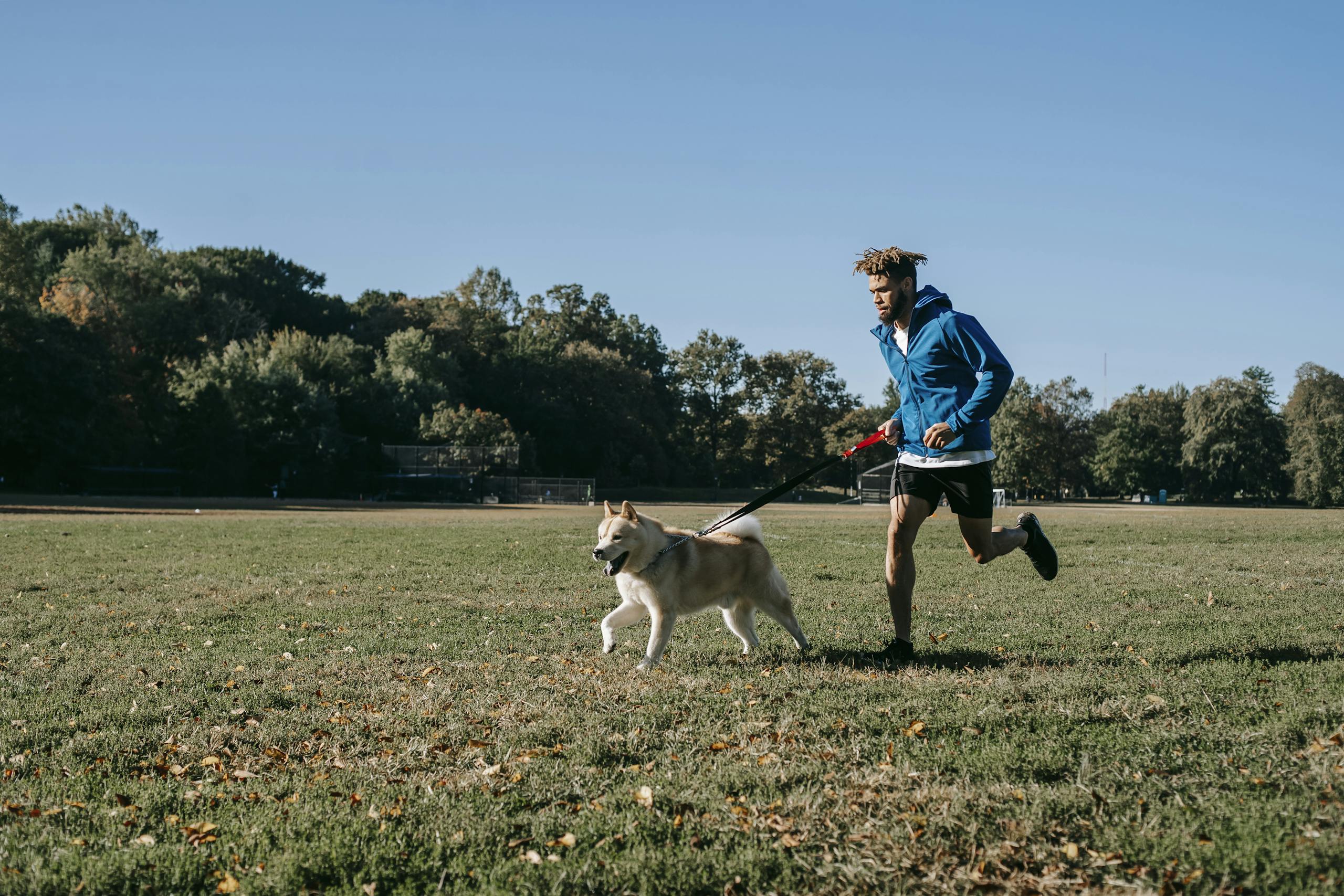 A man jogs with his dog in a lush green park under a clear blue sky.