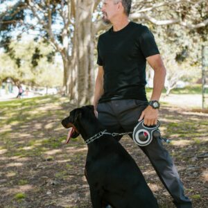 A man walking a Doberman in a sunny park, showcasing a relaxed outdoor scene.