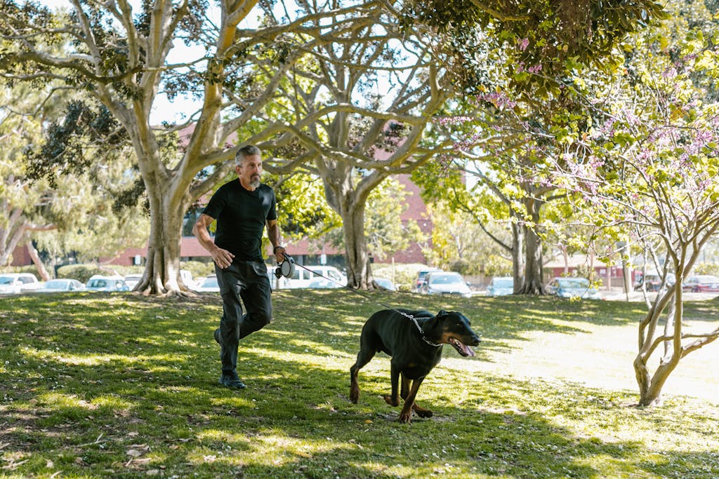 A man with a Doberman dog enjoying a sunny day in a lush green park.