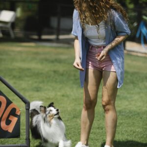 A woman instructs her Shetland Sheepdog during a sunny day outdoor training session.