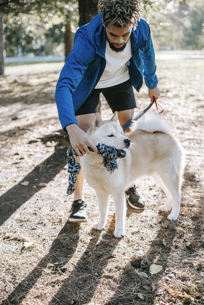 A young man interacts with his fluffy dog during a sunny park walk, enjoying leisure time outdoors.