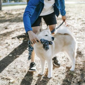 A young man interacts with his fluffy dog during a sunny park walk, enjoying leisure time outdoors.