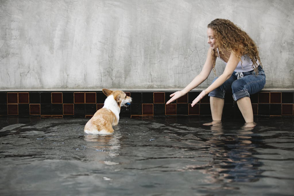 Adult female taming purebred dog with ball while looking at each other in rippled pool on gray background