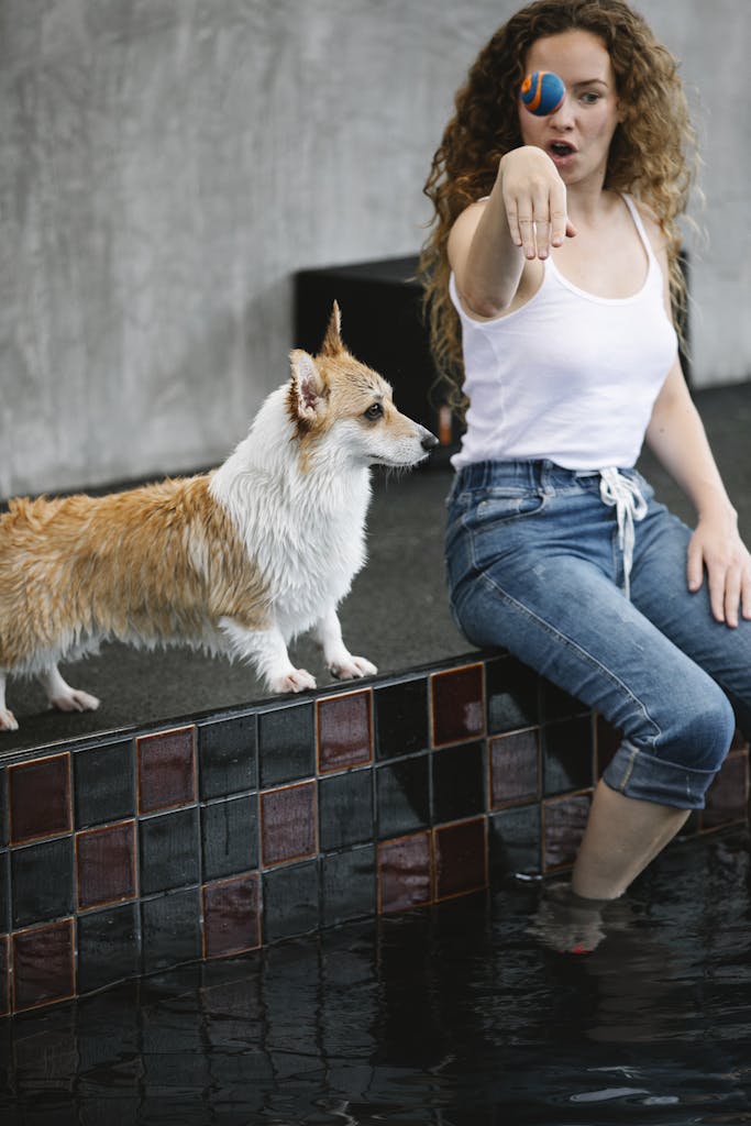 Adult female teaching purebred dog on poolside while throwing small ball over water on gray background