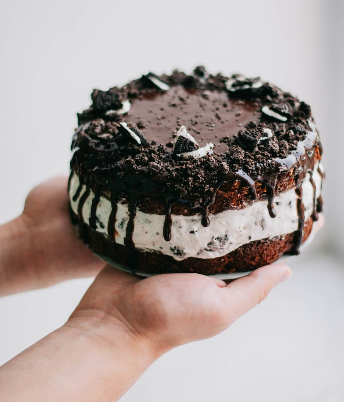 Chocolate Cheesecake sed tempus eros efficitur varius scelerisque. Ut id orci quis erat ultricies porta.