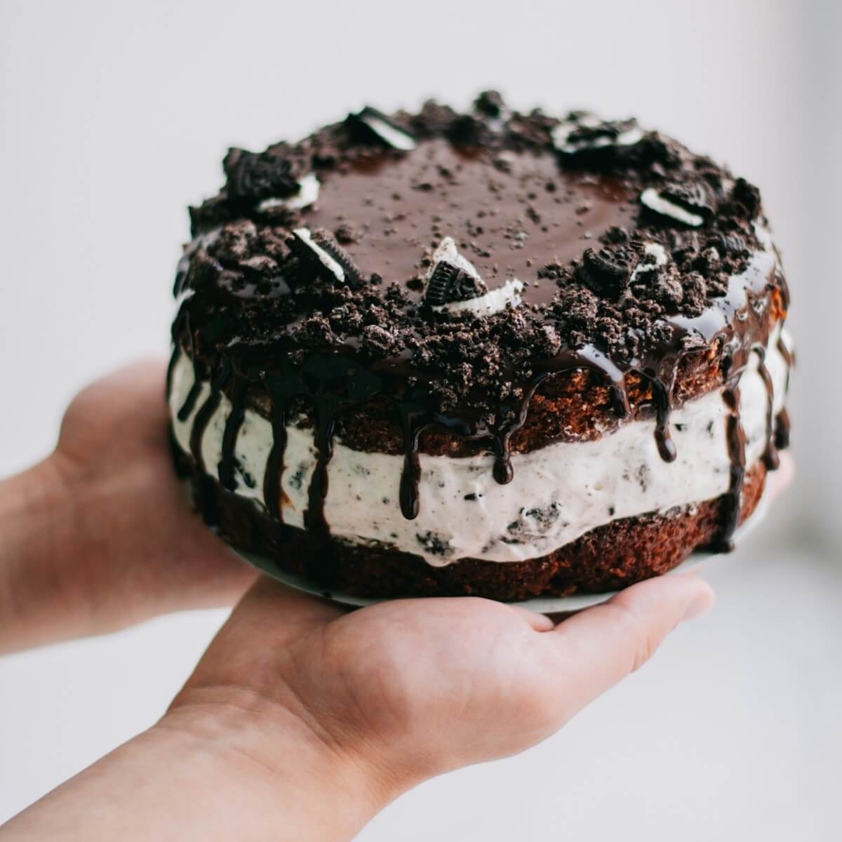 Chocolate Cheesecake