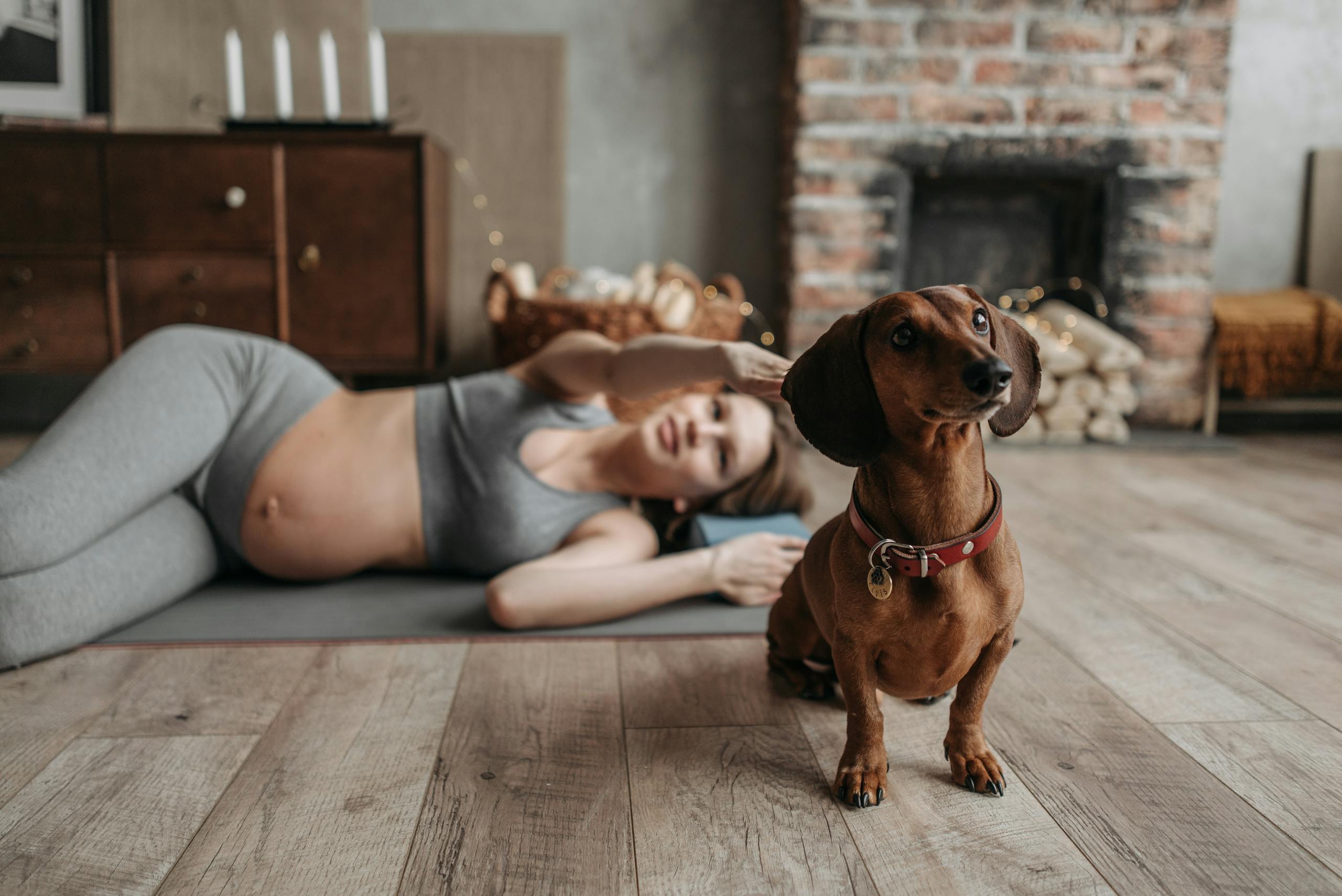 Pregnant woman in workout gear with her dachshund on a wooden floor in a cozy living room.